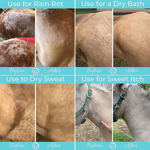 Coat Defense® Daily Preventative Powder