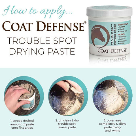 Coat Defense® Trouble Spot Drying Paste