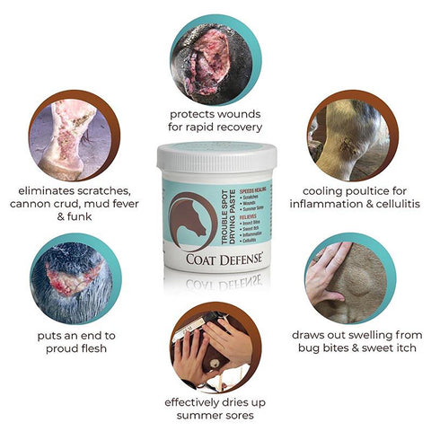 Coat Defense® Trouble Spot Drying Paste