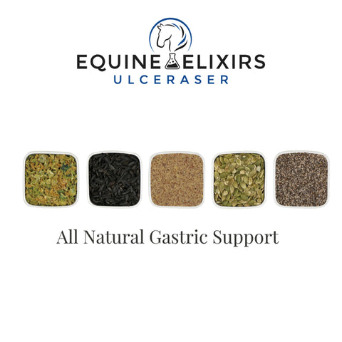 Equine Elixirs Ulceraser®