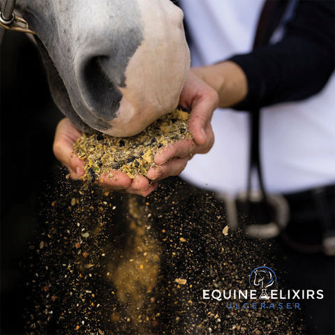 Equine Elixirs Ulceraser®
