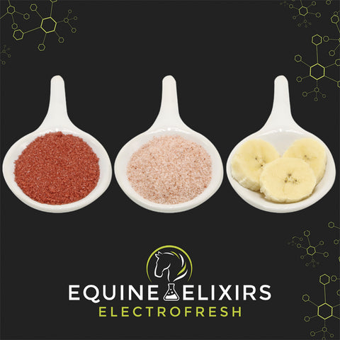 Equine Elixirs Electrofresh