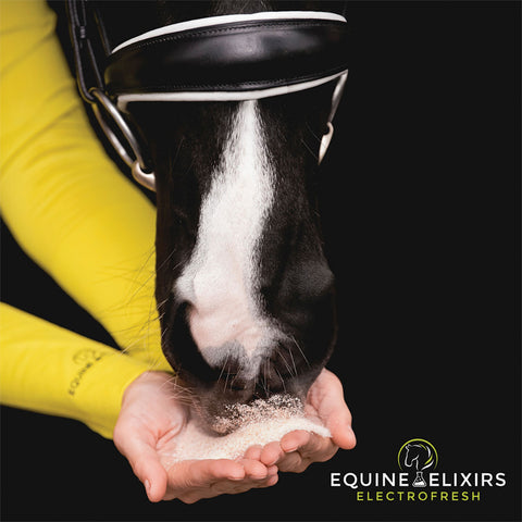 Equine Elixirs Electrofresh