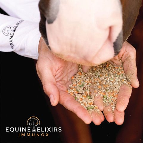 Equine Elixirs Immunox®