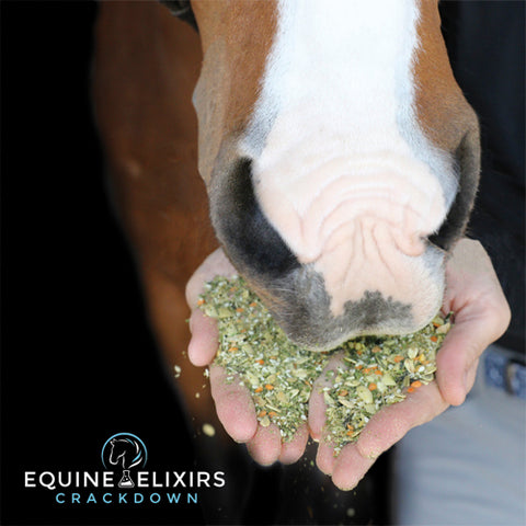 Equine Elixirs Crackdown®