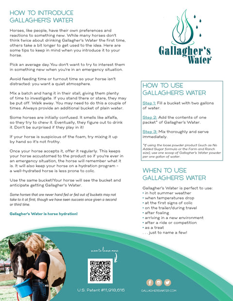 Gallagher’s Water™ All-Natural Equine Hydration Beverage, 12 Sachets