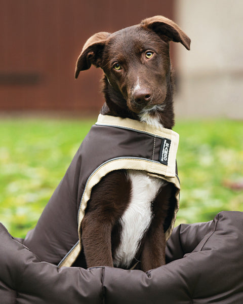 Horseware® Ireland Rambo® Waterproof Dog Blanket - Brown/Cream / Xxxl - Dog Clothing