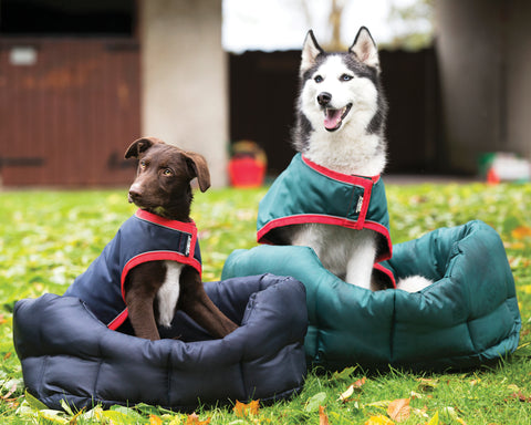 Horseware® Ireland Rambo® Waterproof Dog Blanket - Dog Clothing