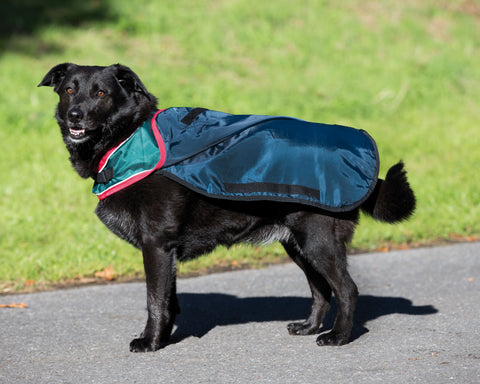 Horseware® Ireland Rambo® Waterproof Dog Blanket