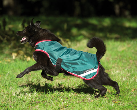 Horseware® Ireland Rambo® Waterproof Dog Blanket