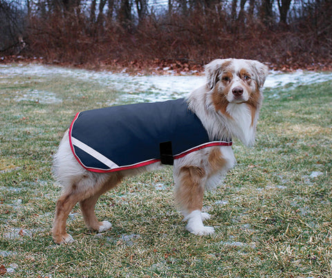 Horseware® Ireland Rambo® Waterproof Dog Blanket - Navy/Red / Xxxl - Dog Clothing