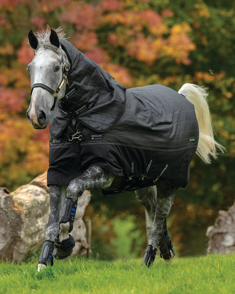 Horseware® Ireland Amigo® Bravo 12 Plus Reflectech Turnout Medium-Weight Blanket - Black/Reflective/Black / 66