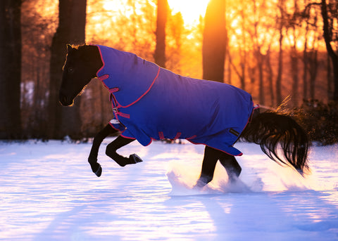 Horseware® Ireland Amigo® Bravo 12 Plus Reflectech Turnout Medium-Weight Blanket - Turnout Blankets