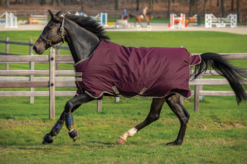 Horseware® Ireland Amigo® Hero RipStop Lite Turnout - 100 grams