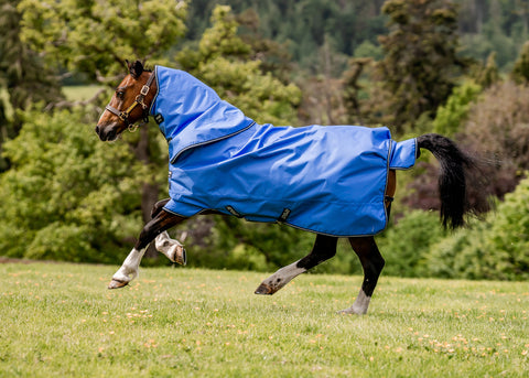 Horseware® Ireland Amigo® Hero Ripstop 50 Gram Lite Turnout Blanket