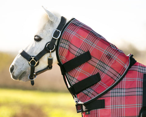 Kensington™ Mini Protective Neck Cover - Deluxe Black / Mini - Turnout Blankets