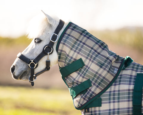 Kensington™ Mini Protective Neck Cover - Deluxe Hunter / Mini - Turnout Blankets