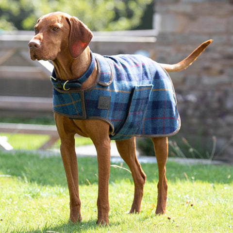 Shires Digby & Fox Tweed Dog Coat