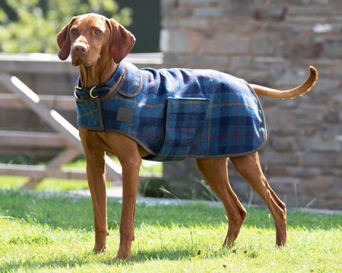 Shires Digby & Fox Tweed Dog Coat