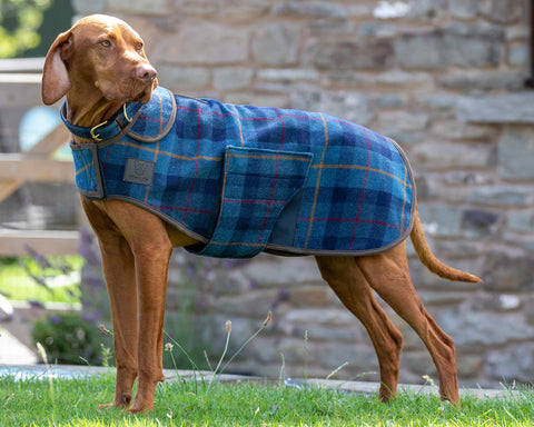 Shires Digby & Fox Tweed Dog Coat
