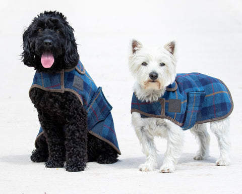 Shires Digby & Fox Tweed Dog Coat