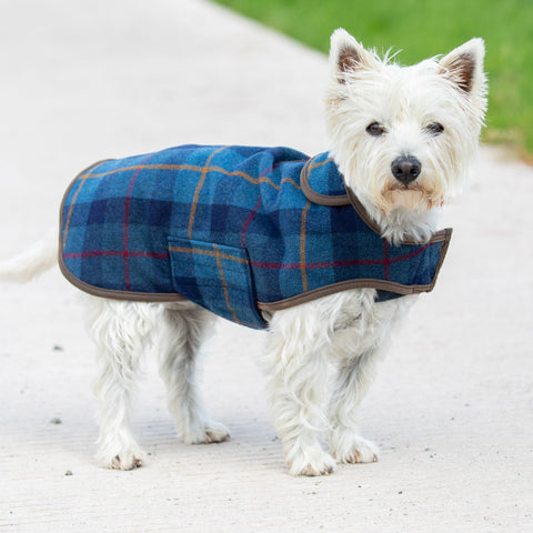 Shires Digby & Fox Tweed Dog Coat