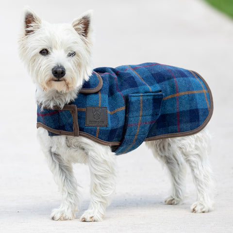 Shires Digby & Fox Tweed Dog Coat