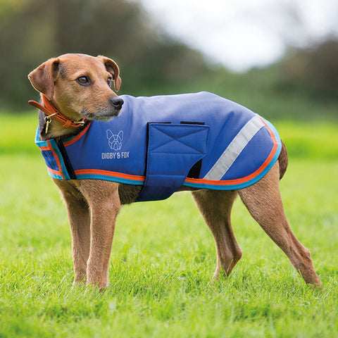 Shires Digby & Fox L-XXL Waterproof Dog Coat