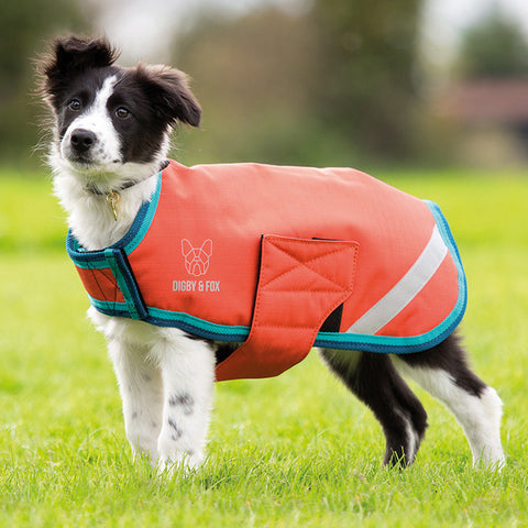 Shires Digby & Fox L-XXL Waterproof Dog Coat