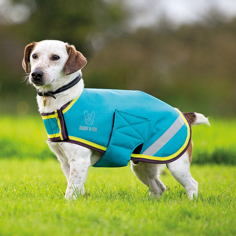 Shires Digby & Fox L-XXL Waterproof Dog Coat