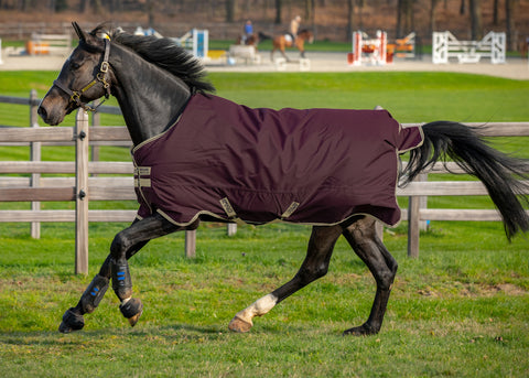 Horseware® Amigo® Hero Ripstop Lite - 0 grams - Fig/Navy/Tan / 66 - Turnout Sheets