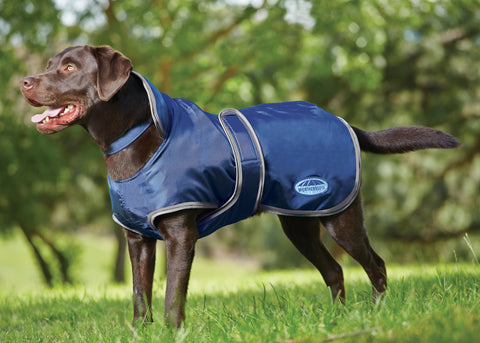 WeatherBeeta® Windbreaker 420D Deluxe Dog Coat - Navy/Grey/White / 12 - Dog Clothing