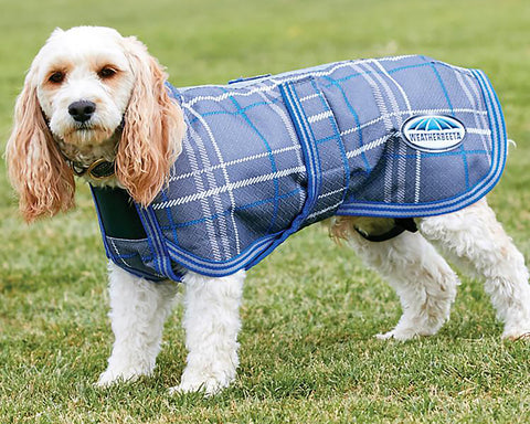 WeatherBeeta® Parka 1200D Deluxe Dog Coat - Grey Plaid / 12 - Dog Clothing