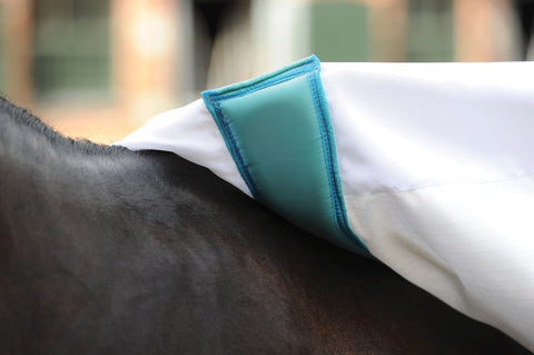 WeatherBeeta® Sweet Itch Shield with Combo Neck