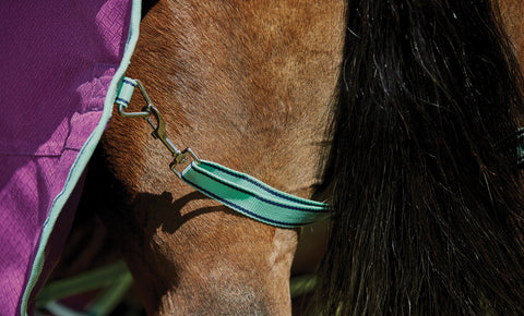 WeatherBeeta® Pony ComFiTec™ Premier Free II Detach-A-Neck Medium-Weight Turnout Blanket