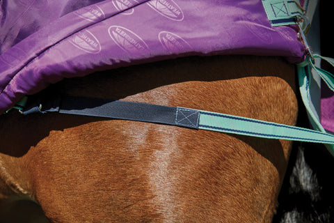 WeatherBeeta® Pony ComFiTec™ Premier Free II Detach-A-Neck Medium-Weight Turnout Blanket
