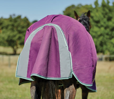 WeatherBeeta® Pony ComFiTec™ Premier Free II Detach-A-Neck Medium-Weight Turnout Blanket