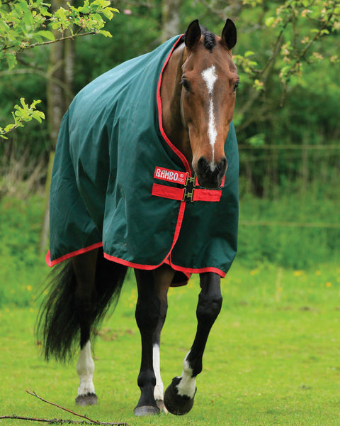 Horseware® Ireland Rambo® Original Heavyweight Turnout Blanket