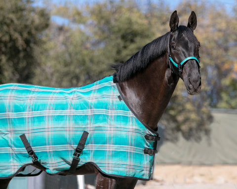 Kensington™ Pony Protective Sheet SureFit®