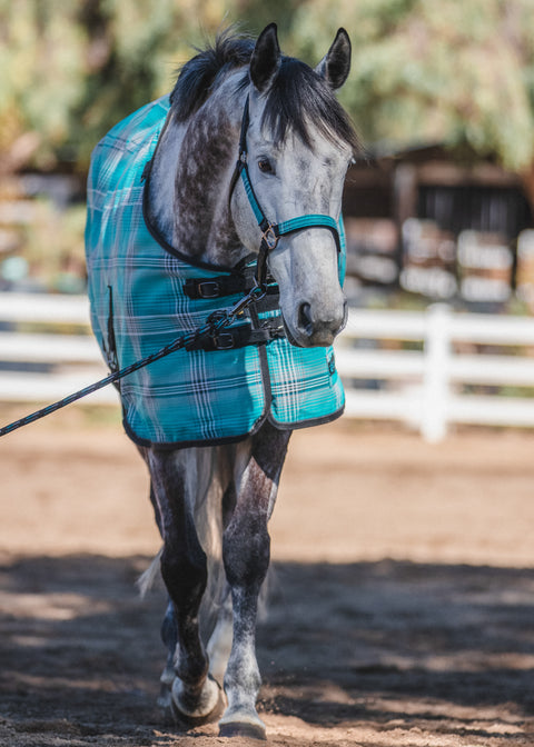 Kensington™ Pony Protective Sheet SureFit®