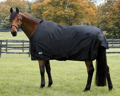 Rider’s International™ Turnout Sheet - Black / 68 - Turnout Sheets