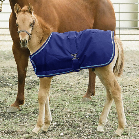 Kensington™ Signature Adjustable Small Foal Turnout Blanket