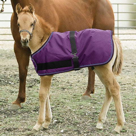 Kensington™ Signature Adjustable Small Foal Turnout Blanket