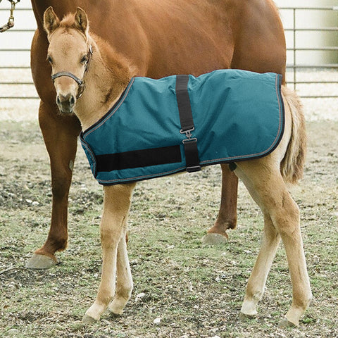 Kensington™ Signature Adjustable Small Foal Turnout Blanket