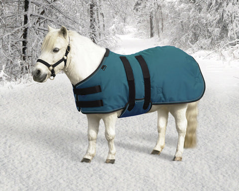 Kensington™ Signature Mini Heavyweight Turnout Blanket