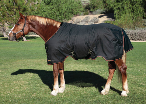 Kensington™ XL Signature Medium-Weight Turnout Blanket - Black / 93 - Turnout Blankets