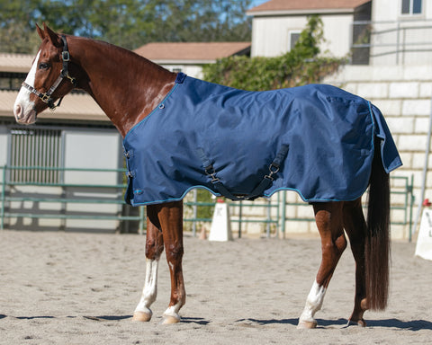 Kensington™ Signature Heavyweight Turnout Blanket