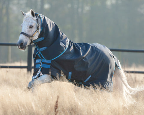 Horseware® Ireland Pony Amigo® Bravo 12 Plus Medium-Weight Turnout Blanket - Turnout Blankets