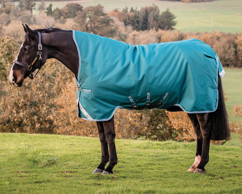 Horseware® Ireland Amigo® Bravo 12 Wug Lite Turnout Sheet - Storm Green/Turquoise / 66 - Turnout Sheets