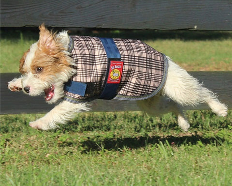 5/A Baker® Dog Blanket
